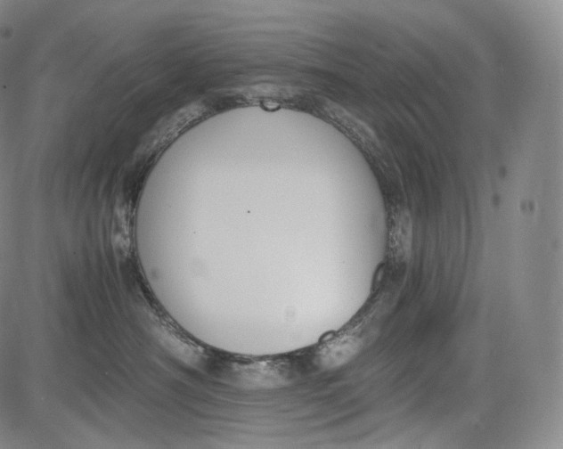 X0000084040430200703022153