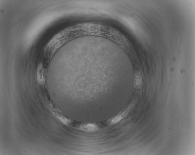 X0000084040431200703022153