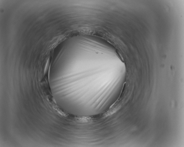 X0000084040432200703022153