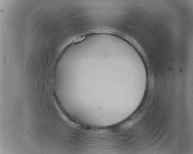 X0000084040433200703022153