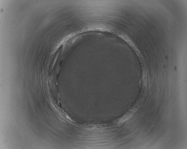 X0000084040434200703022153