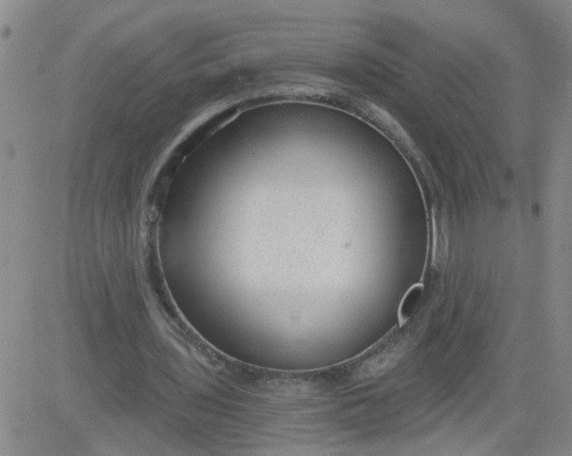 X0000084040435200703022153