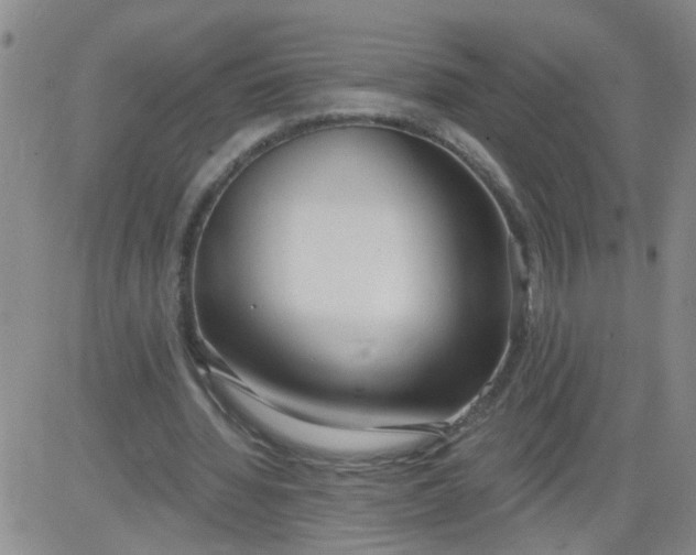 X0000084040436200703022153