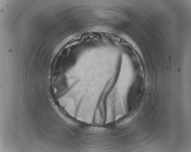 X0000084040437200703022153