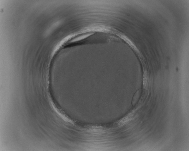 X0000084040438200703022153