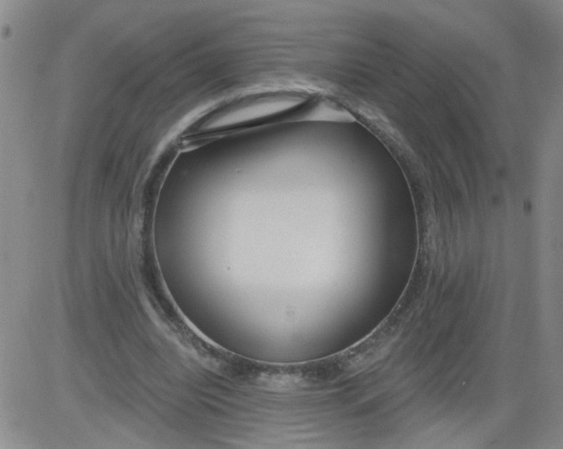 X0000084040440200703022153