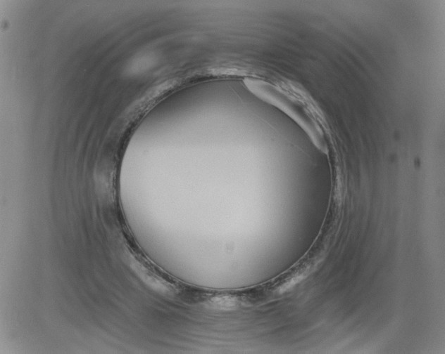 X0000084040441200703022153