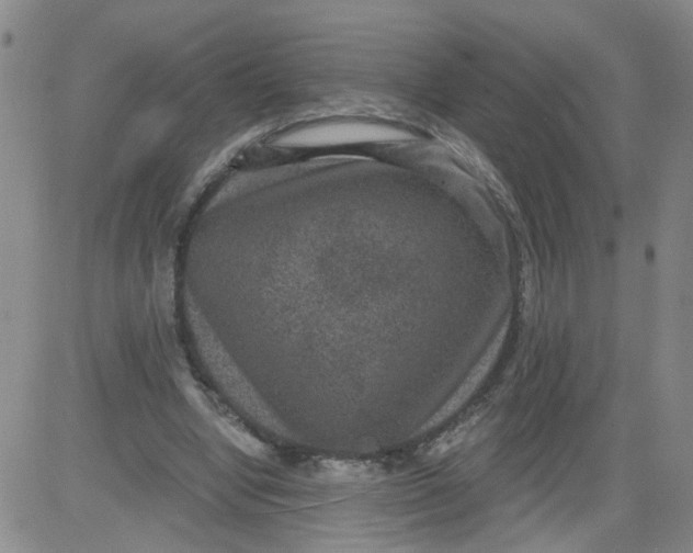 X0000084040442200703022153