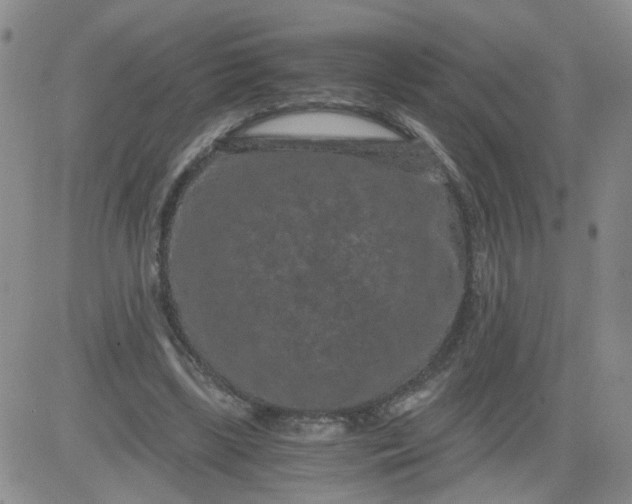 X0000084040443200703022153