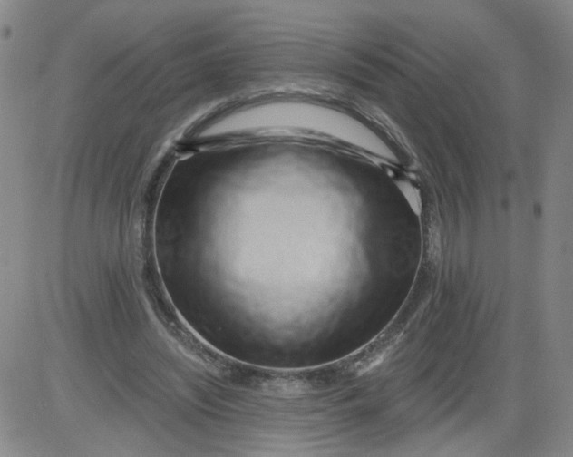 X0000084040444200703022153