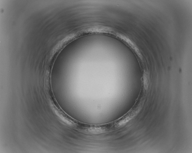 X0000084040445200703022153