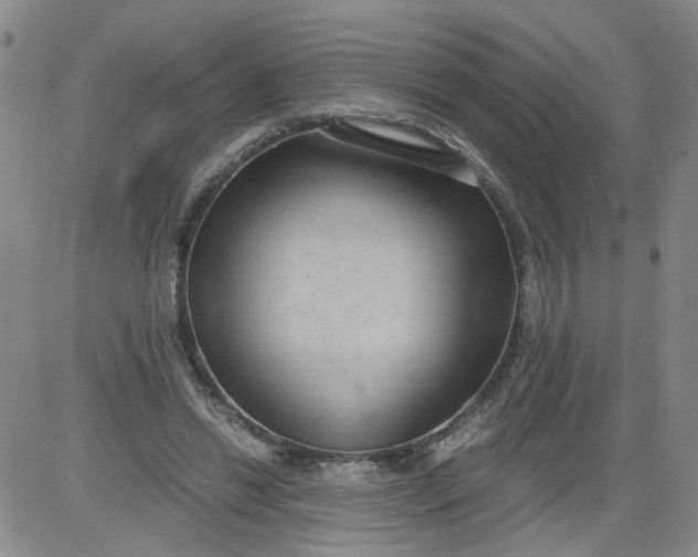 X0000084040446200703022153