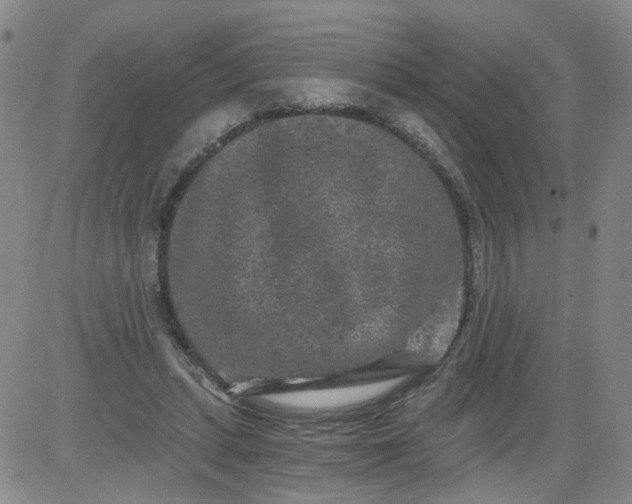 X0000084040447200703022153