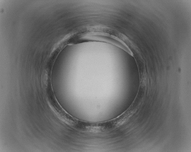 X0000084040448200703022153