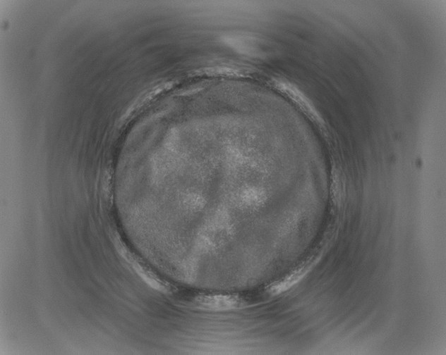 X0000084040449200703022153