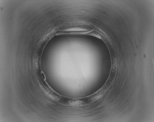 X0000084040452200703022153