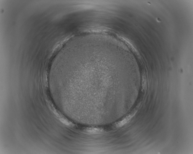 X0000084040453200703022153