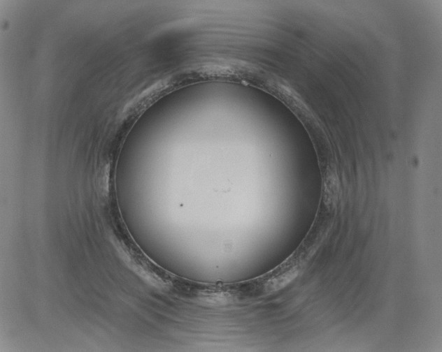 X0000084040454200703022153