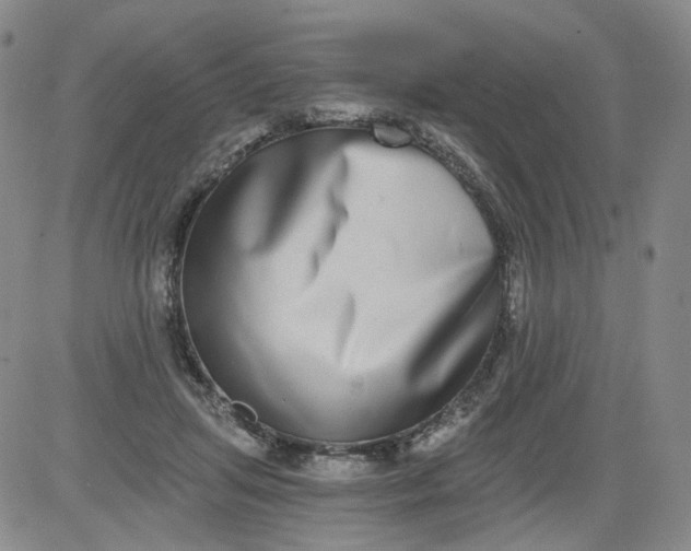 X0000084040455200703022153