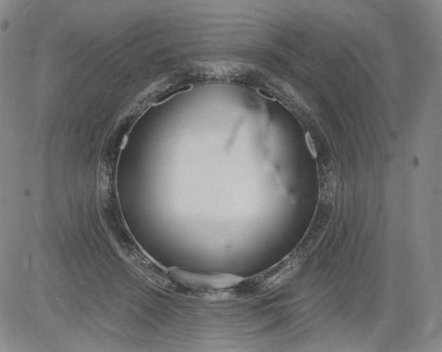 X0000084040456200703022153