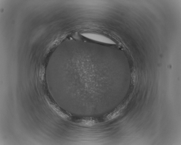 X0000084040458200703022153