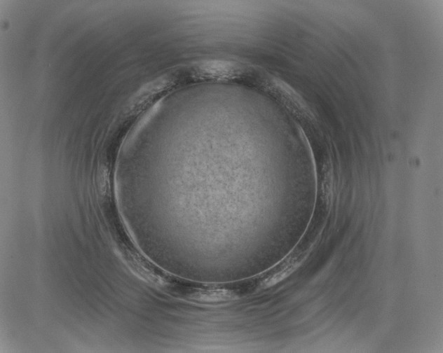 X0000084040459200703022153