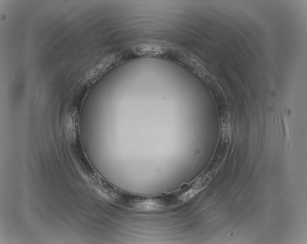 X0000084040460200703022153