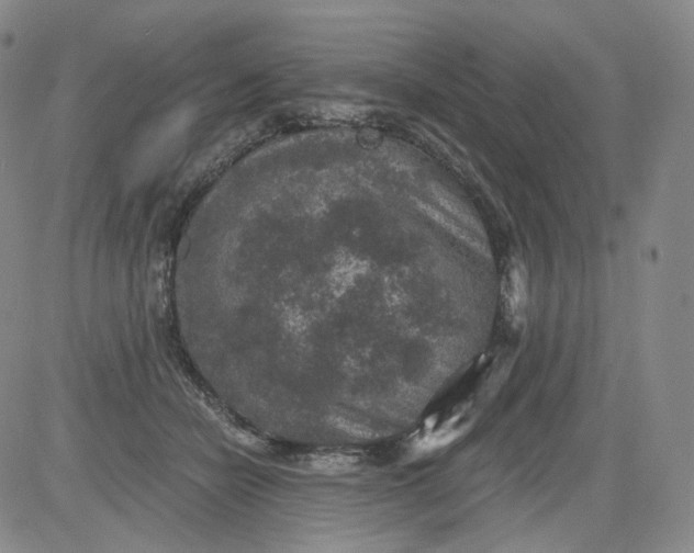 X0000084040462200703022153