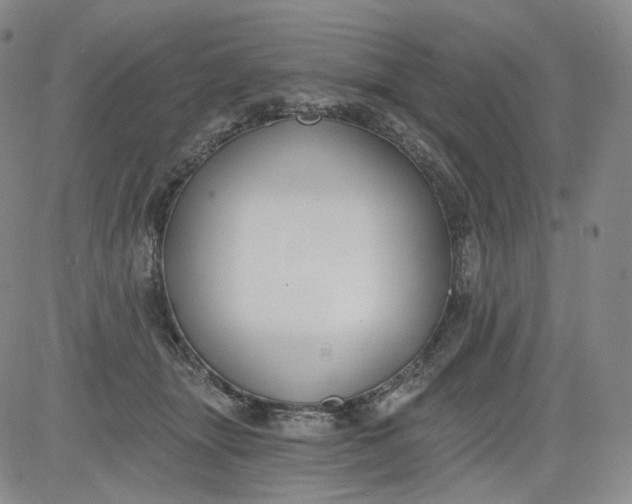 X0000084040463200703022153