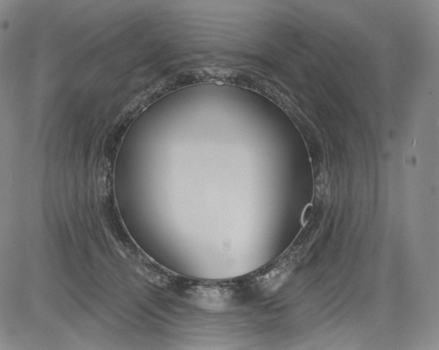 X0000084040464200703022153