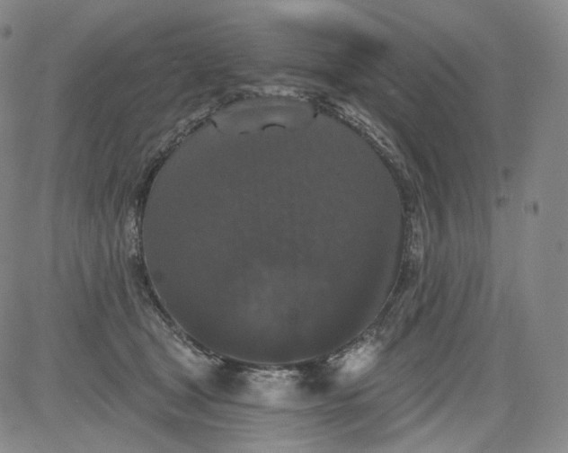 X0000084040465200703022153