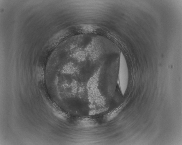 X0000084040467200703022153