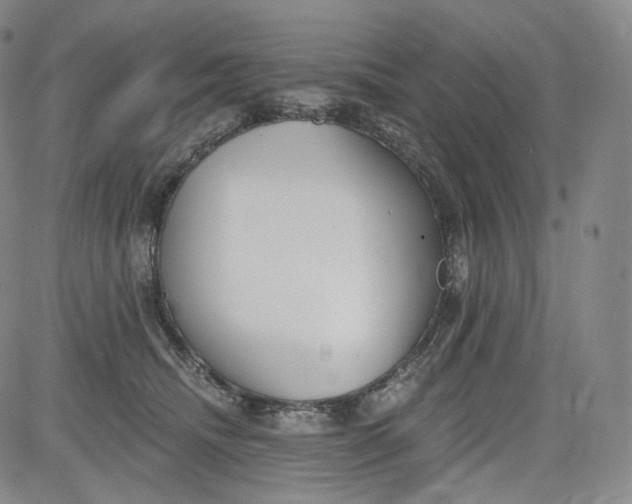 X0000084040468200703022153