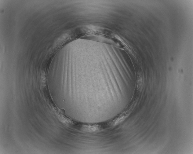 X0000084040469200703022153