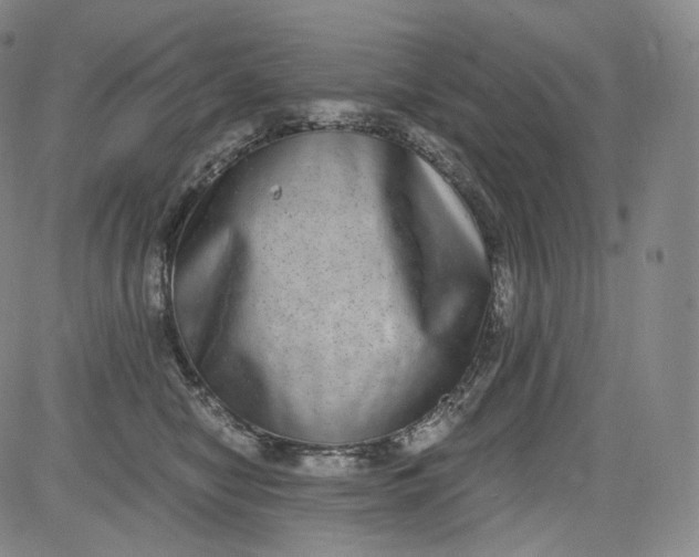 X0000084040470200703022153