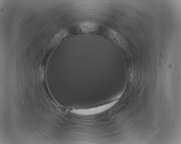 X0000084040471200703022153