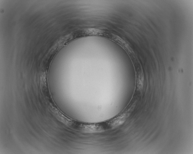 X0000084040473200703022153