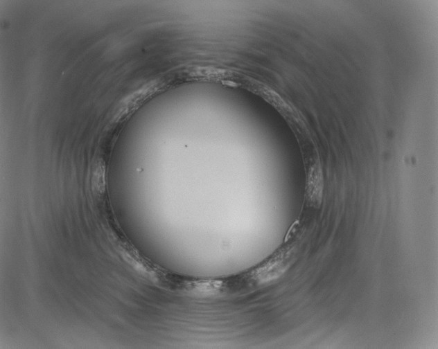 X0000084040474200703022153