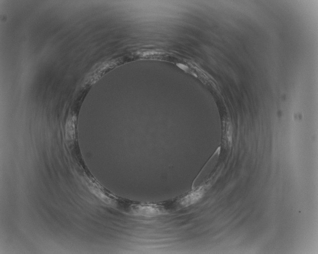 X0000084040475200703022153