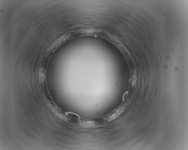 X0000084040476200703022153