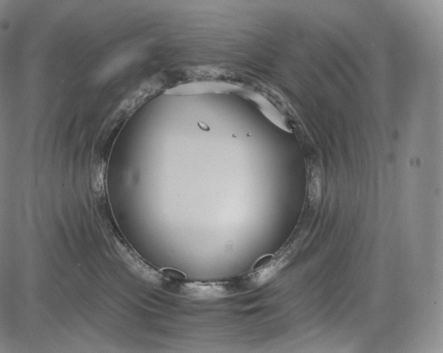 X0000084040477200703022153