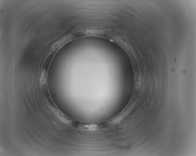 X0000084040478200703022153