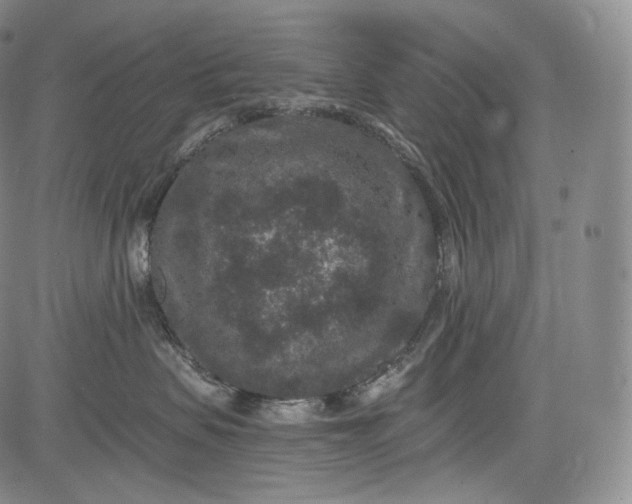 X0000084040479200703022153