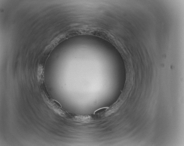 X0000084040480200703022153