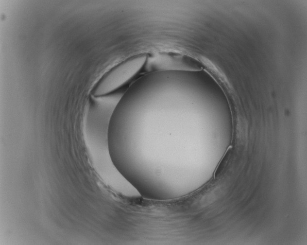 X0000084040481200703022153