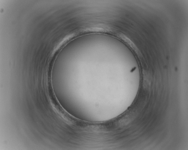 X0000084040482200703022153