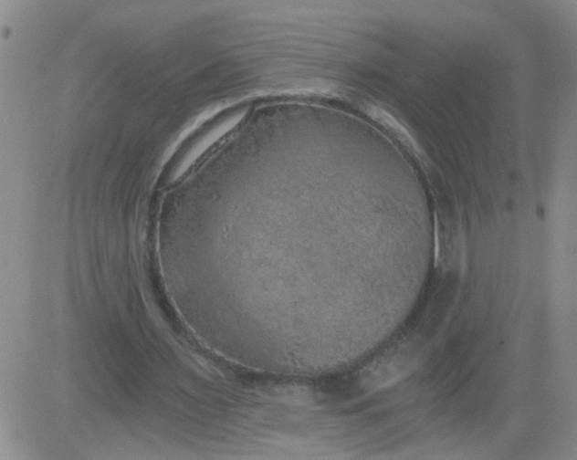 X0000084040483200703022153