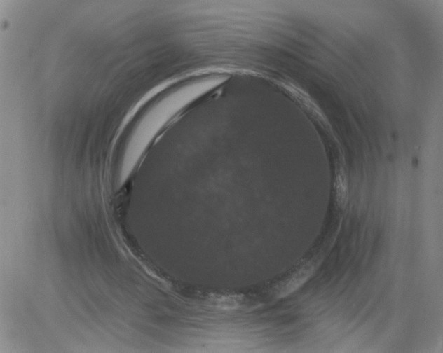 X0000084040484200703022153