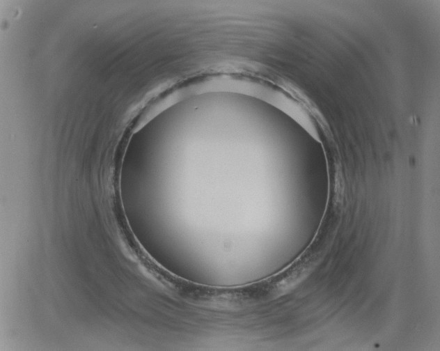 X0000084040485200703022153