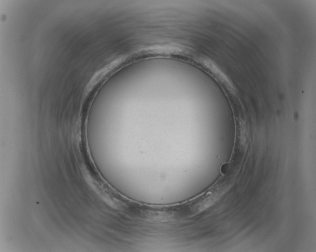 X0000084040486200703022153